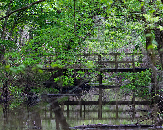 Lake Martin Color-4