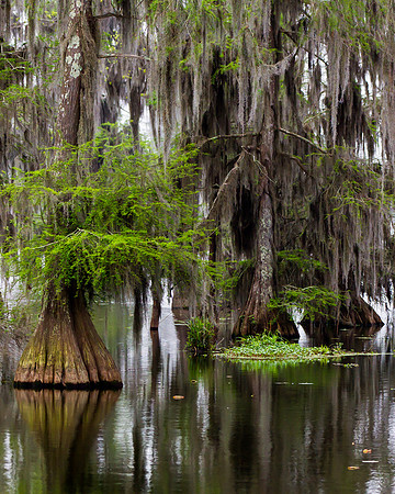 Lake Martin Color-9