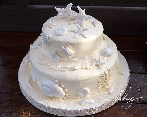 Weddings-1577