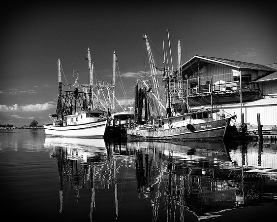 Shrimp Boats