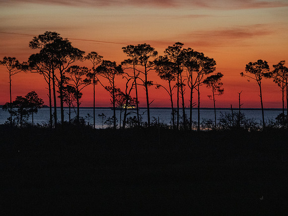 Sunrise-12