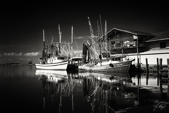 Shrimpers B&W-1