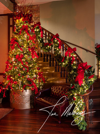 The District Xmas-0641