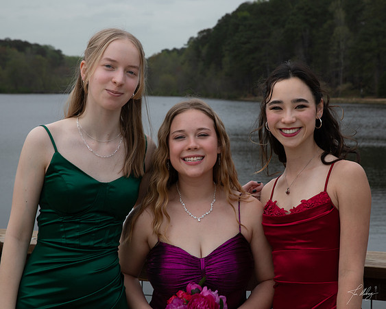 BryProm25-4